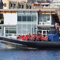 Dolphin & Whale Watching