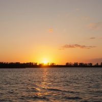 Private Sightseeing Tours