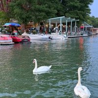 Cruises, Sailing & Water Tours
