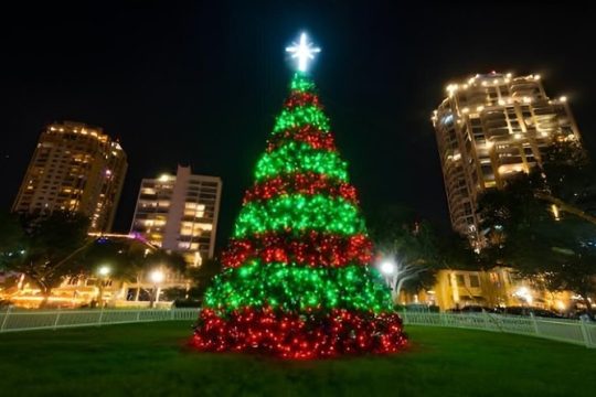 Christmas activities in St Petersburg