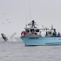 Cruises, Sailing & Water Tours