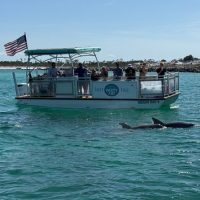 Ports of Call Tours