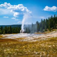 Walking & Biking Tours