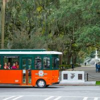 Hop-on Hop-off Tours