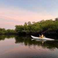 Full-day Tours