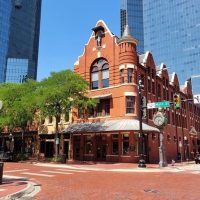 Half-day Tours