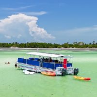 Eco Tours