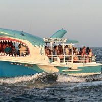 Eco Tours
