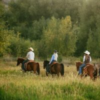 Horseback Riding