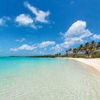 Shore Excursions