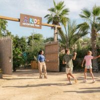 Attraction Tickets