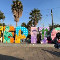 Volunteer Tours