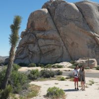 Sustainable Tours