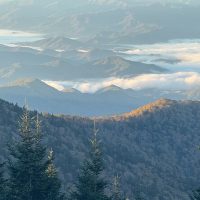 Full-day Tours