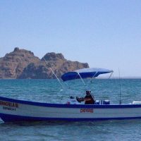 Private & Custom Tours
