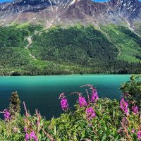 Private & Custom Tours
