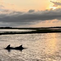 Holiday & Seasonal Tours
