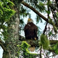 Photography Tours