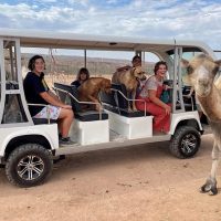 Photography Tours
