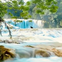 Multi-day Tours