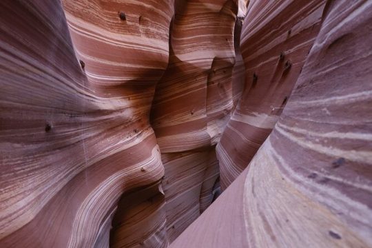 Valentine's Day in Bryce Canyon National Park