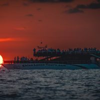 Catamaran Cruises