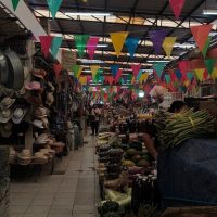 Shopping Tours