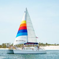 Boat Tours