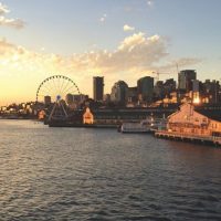 Day Cruises