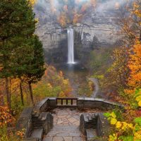 Bus & Minivan Tours