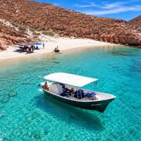 Day Cruises