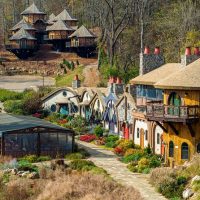 Private & Custom Tours