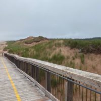 Full-day Tours