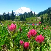 Overnight Tours