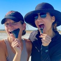 Dolphin & Whale Watching