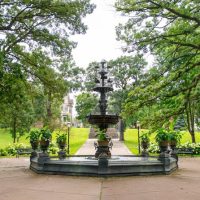 Bus & Minivan Tours