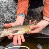 Fishing Charters & Tours