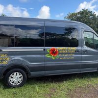 Archaeology Tours