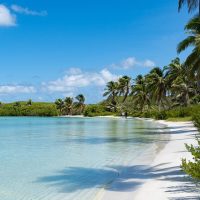 Day Trips & Excursions