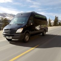 Bus Services