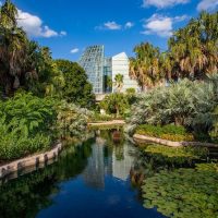 Romantic Tours