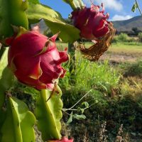 Sustainable Tours