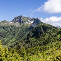 Eco Tours