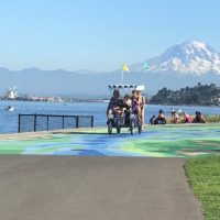 Bike Rentals