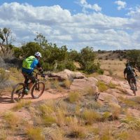 Bike Rentals