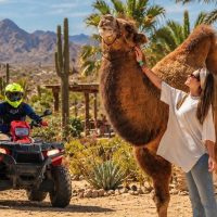 Self-guided Tours & Rentals