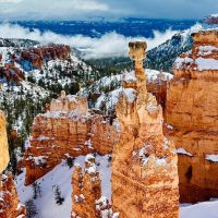 Private Sightseeing Tours