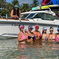 Dolphin & Whale Watching