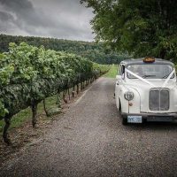 Classic Car Tours