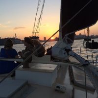 Day Cruises